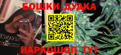 индика Пугачёв