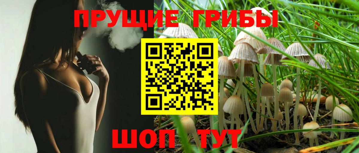 Галлюциногенные грибы Psilocybe Орехово-Зуево