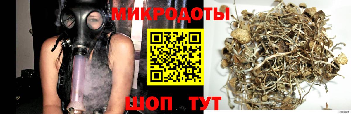 Псилоцибиновые грибы GOLDEN TEACHER  Вход с VPN  Орехово-Зуево  Галлюциногенные грибы мицелий 